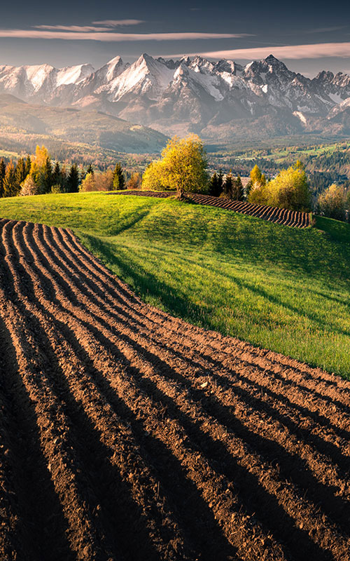 Agricultural applications